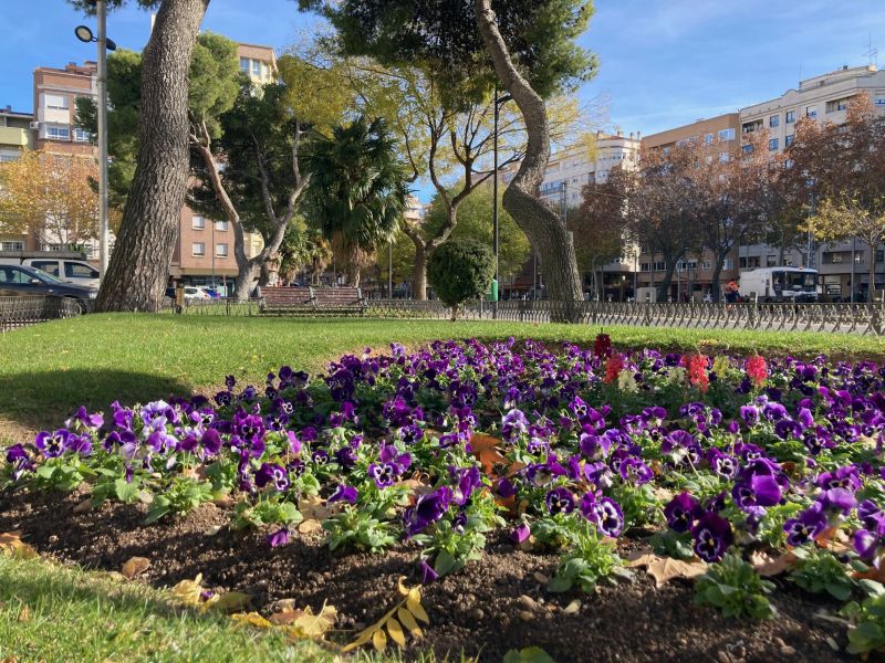 Más de 68.000 plantas de los viveros de Fundación Asla adornarán las zonas verdes de la ciudad de Albacete